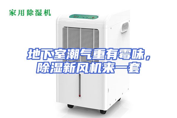 地下室潮气重有霉味，除湿新风机来一套