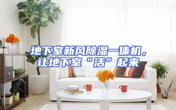 地下室新风除湿一体机，让地下室“活”起来