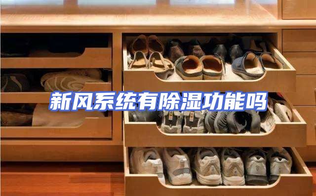 新风系统有除湿功能吗
