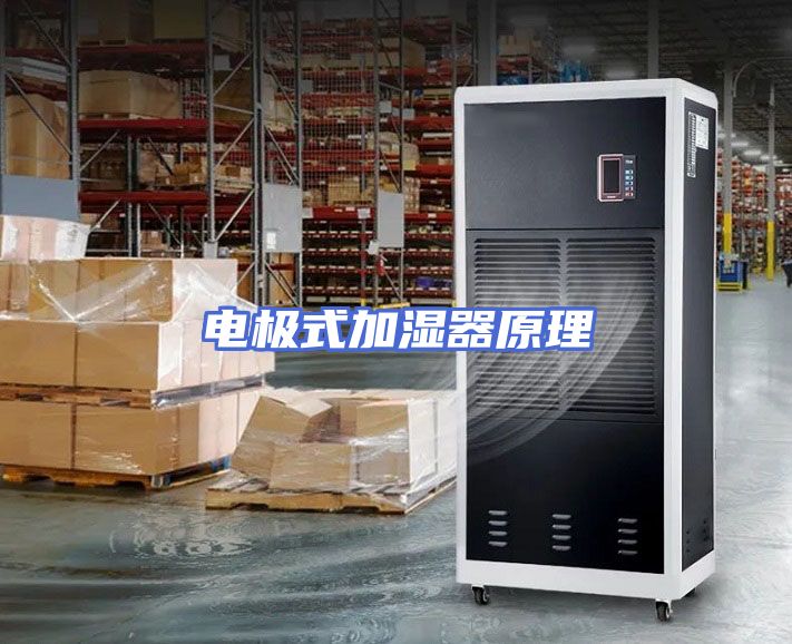 电极式加湿器原理