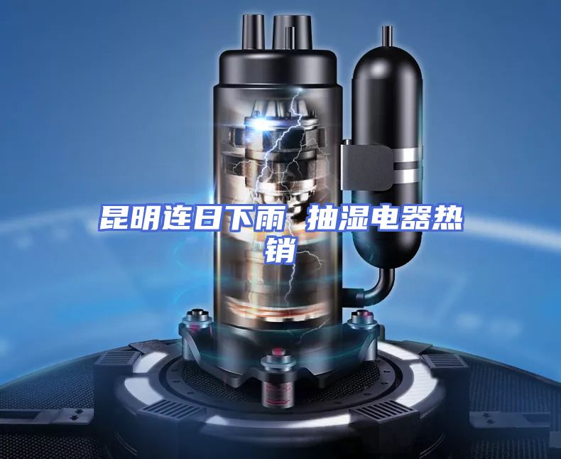 昆明连日下雨 抽湿电器热销