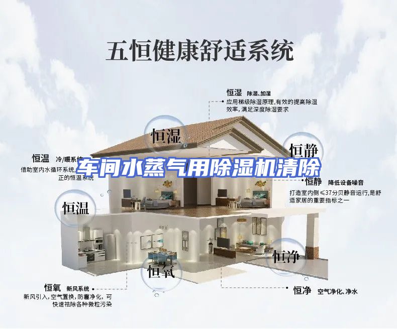 车间水蒸气用除湿机清除