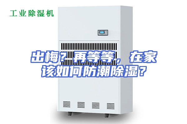 出梅?再等等,在家该如何防潮除湿?