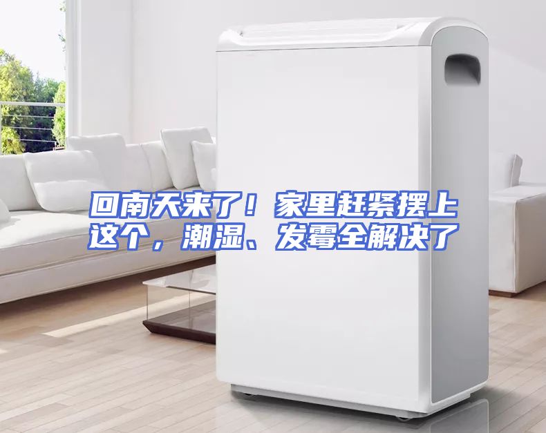 回南天来了！家里赶紧摆上这个，潮湿、发霉全解决了