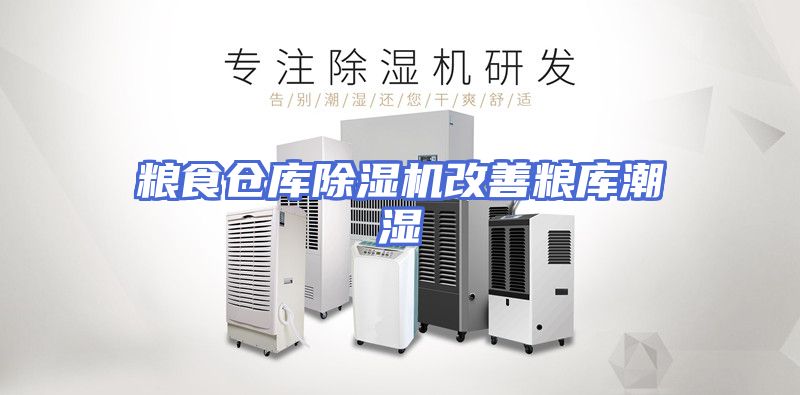 粮食仓库除湿机改善粮库潮湿