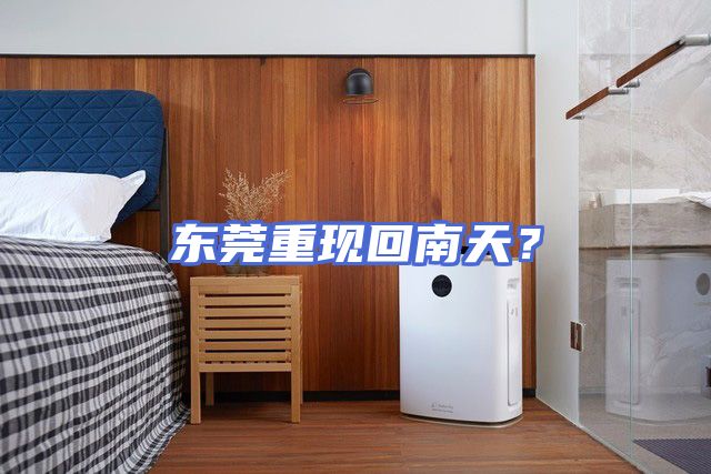 东莞重现回南天?