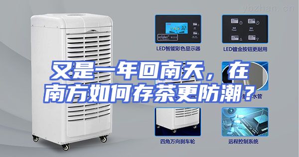 又是一年回南天，在南方如何存茶更防潮？