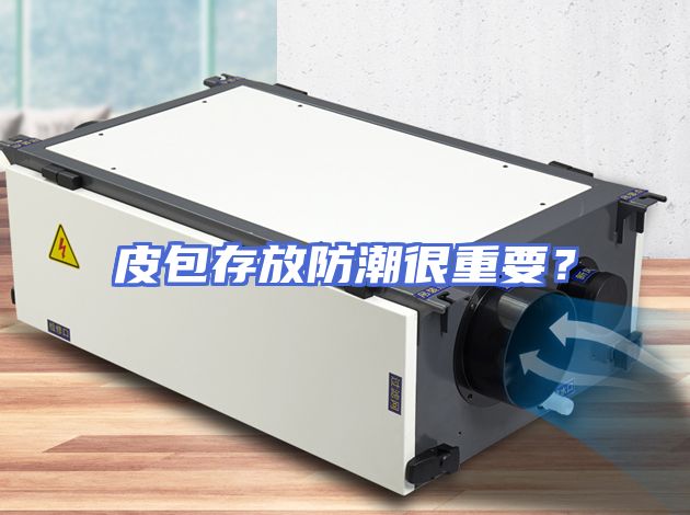 皮包存放防潮很重要？