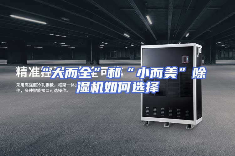 “大而全”和“小而美”除湿机如何选择