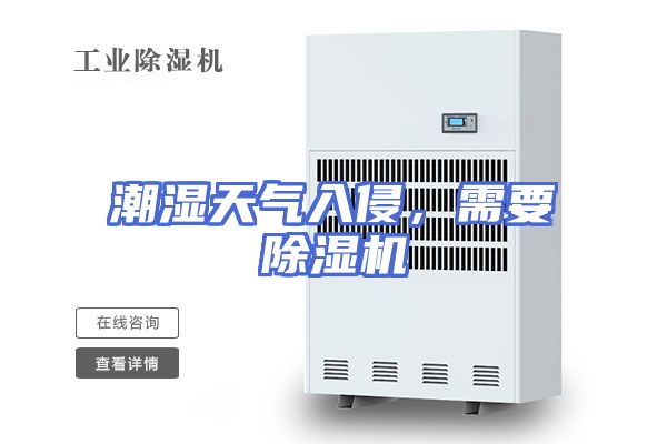 潮湿天气入侵，需要除湿机