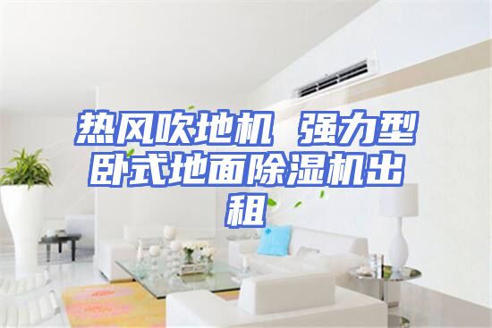 热风吹地机 强力型卧式地面除湿机出租
