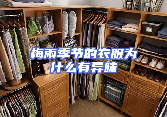 梅雨季节的衣服为什么有异味