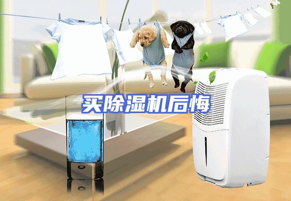 买除湿机后悔