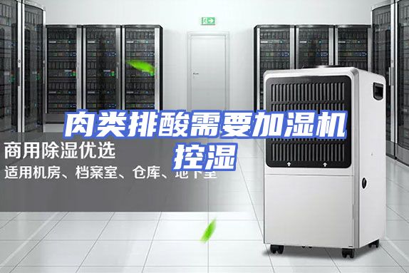 肉类排酸需要加湿机控湿