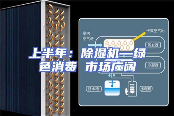 上半年:除湿机—绿色消费 市场广阔