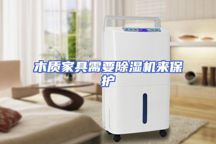 木质家具需要除湿机来保护