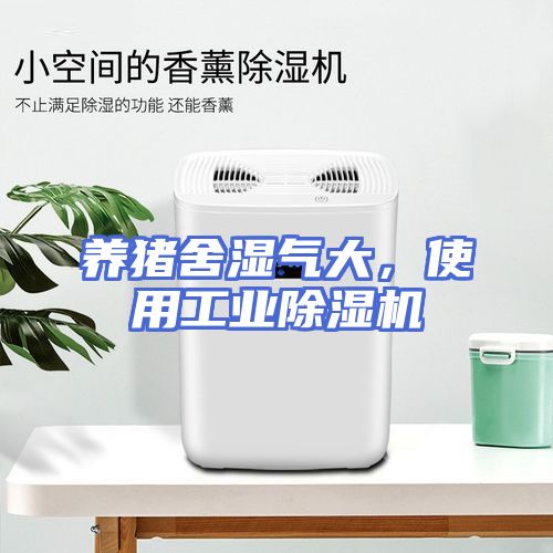 养猪舍湿气大，使用工业除湿机