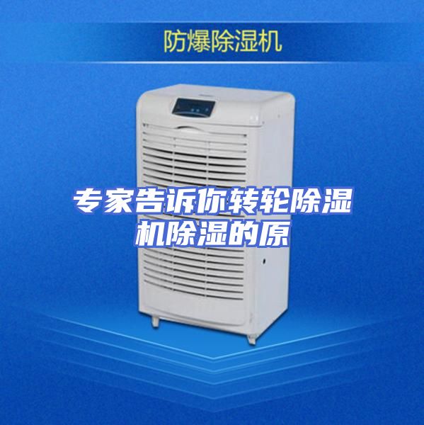 专家告诉你转轮除湿机除湿的原