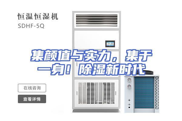集颜值与实力，集于一身！除湿新时代
