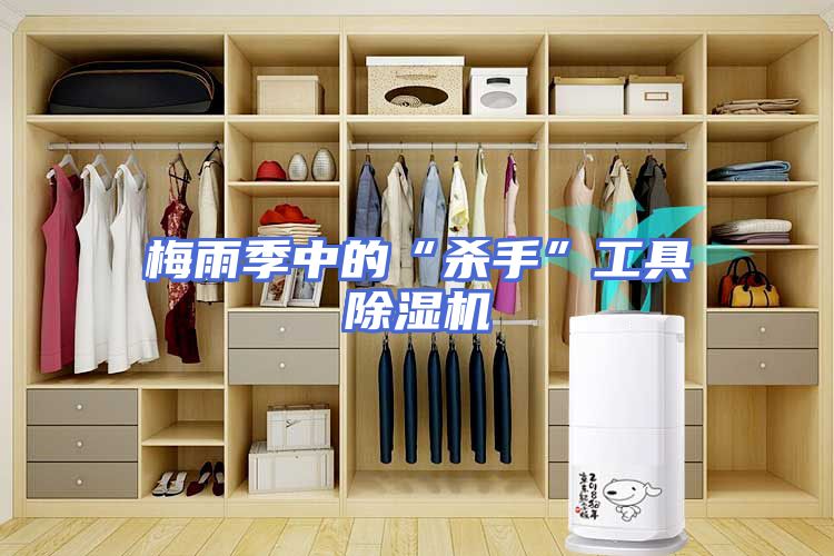 梅雨季中的“杀手”工具除湿机