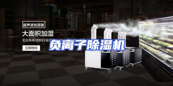 负离子除湿机
