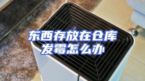 东西存放在仓库发霉怎么办