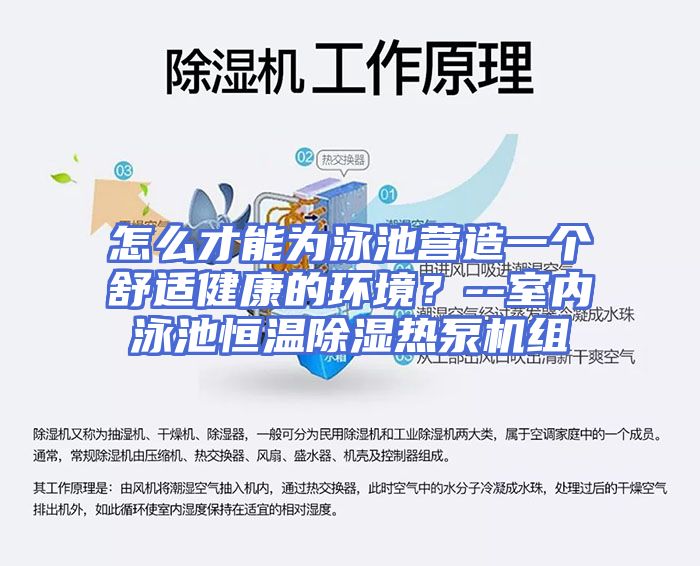 怎么才能为泳池营造一个舒适健康的环境？--室内泳池恒温除湿热泵机组