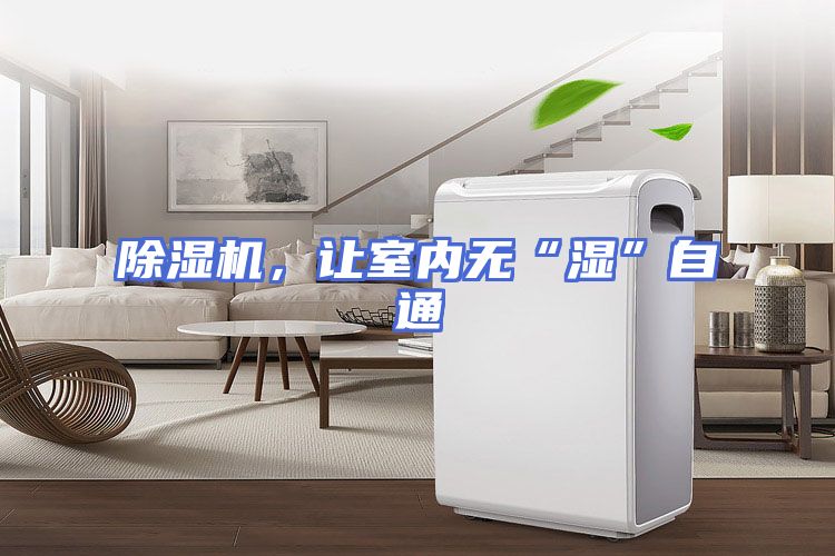 除湿机，让室内无“湿”自通