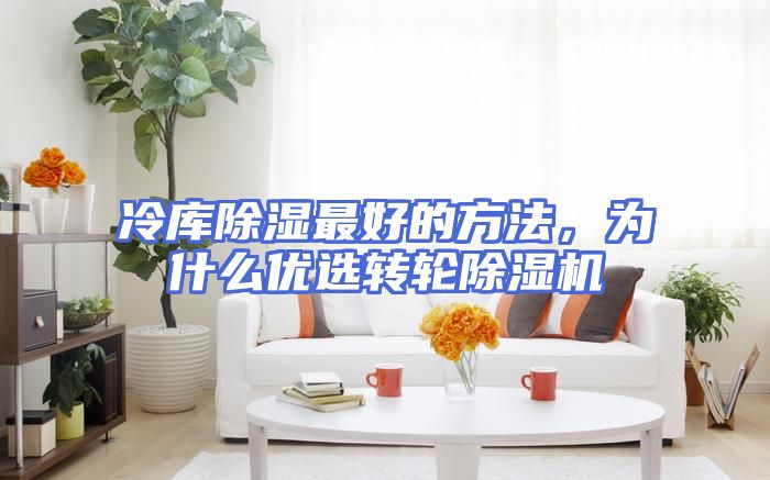 冷库除湿最好的方法，为什么优选转轮除湿机