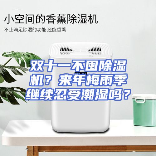 双十一不囤除湿机？来年梅雨季继续忍受潮湿吗？