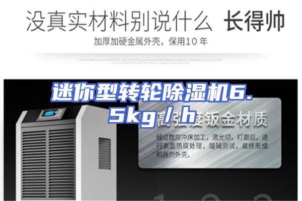 迷你型转轮除湿机6.5kg／h