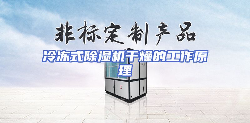 冷冻式除湿机干燥的工作原理