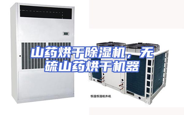 山药烘干除湿机，无硫山药烘干机器