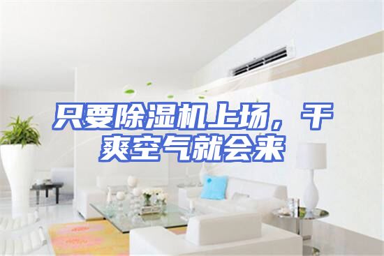 只要除湿机上场，干爽空气就会来