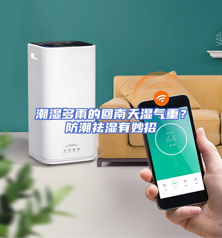 潮湿多雨的回南天湿气重？防潮祛湿有妙招