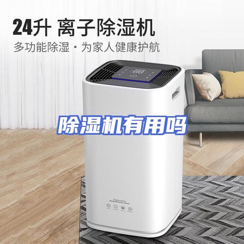 除湿机有用吗
