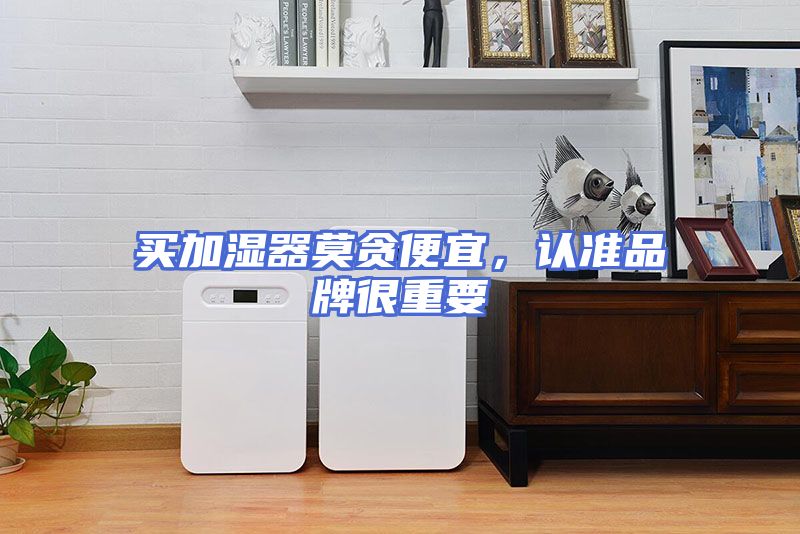 买加湿器莫贪便宜，认准品牌很重要