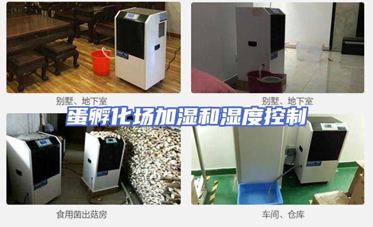 蛋孵化场加湿和湿度控制