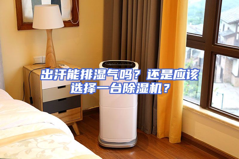 出汗能排湿气吗？还是应该选择一台除湿机？