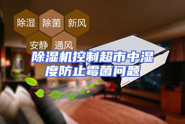 除湿机控制超市中湿度防止霉菌问题