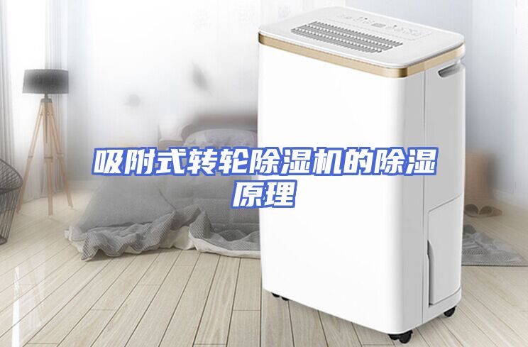 吸附式转轮除湿机的除湿原理
