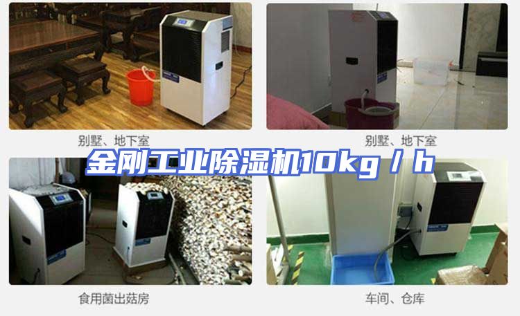 金刚工业除湿机10kg／h