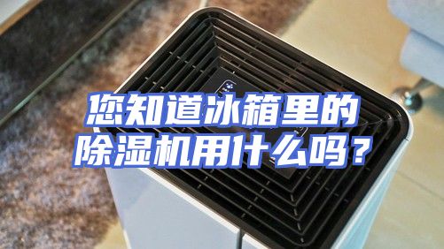 您知道冰箱里的除湿机用什么吗?
