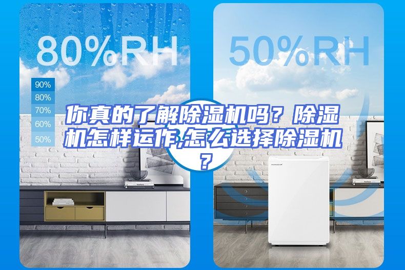 你真的了解除湿机吗？除湿机怎样运作,怎么选择除湿机？