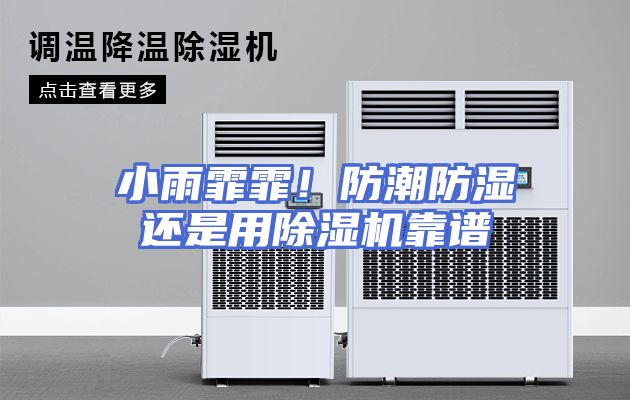 小雨霏霏！防潮防湿还是用除湿机靠谱