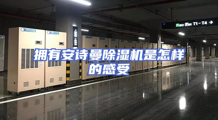 拥有安诗曼除湿机是怎样的感受