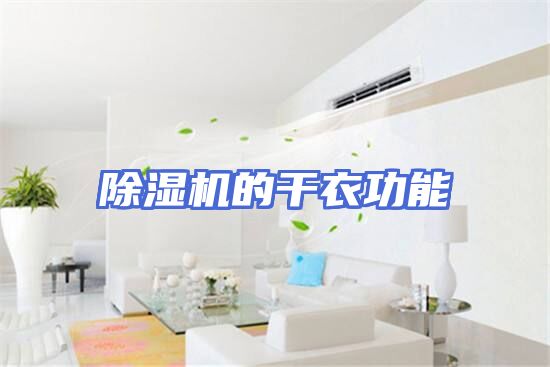 除湿机的干衣功能