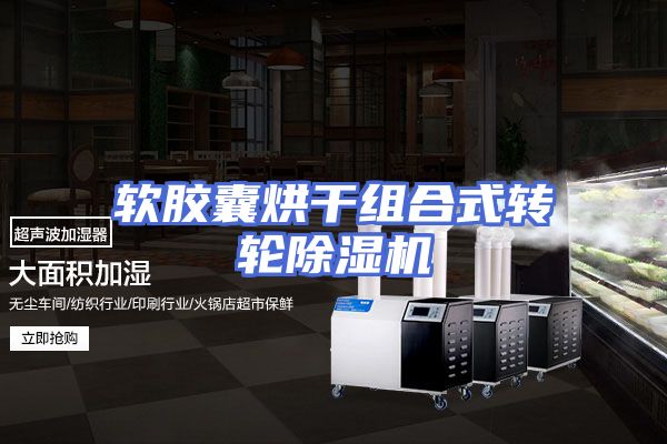 软胶囊烘干组合式转轮除湿机