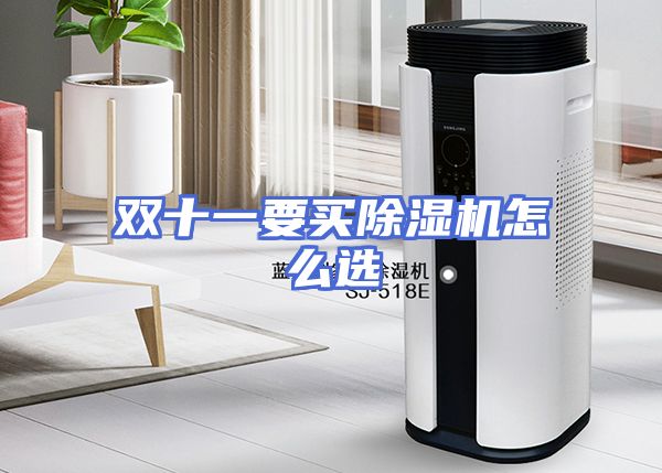 双十一要买除湿机怎么选