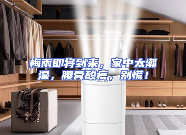 梅雨即将到来，家中太潮湿，腰骨酸疼，别慌！